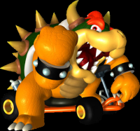 Bowser Circuit